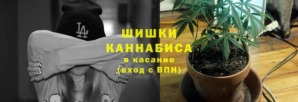прущие крисы Новокубанск