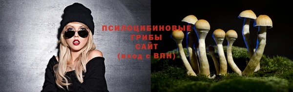 прущие крисы Новокубанск