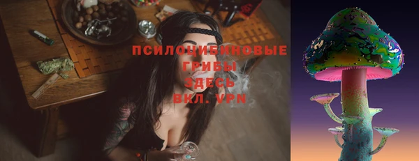 первитин Новодвинск