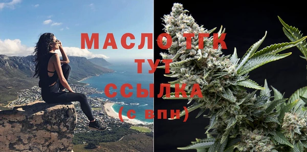 первитин Новодвинск