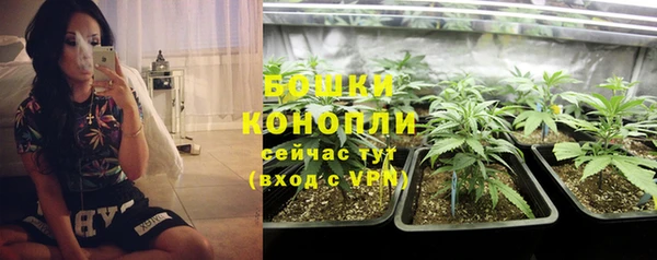 прущие крисы Новокубанск